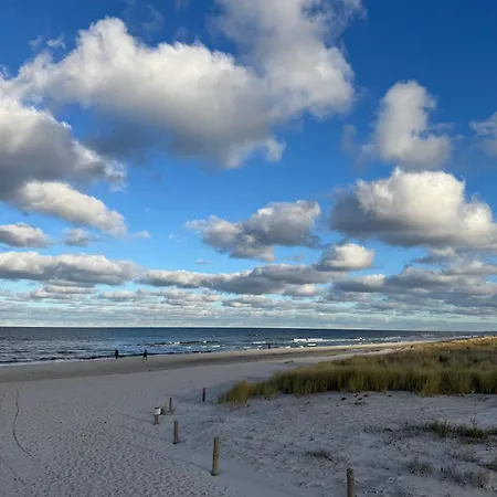 Lolle Zingst